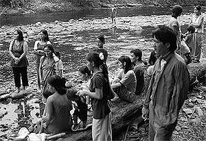 Pic / Penan Support Group penan2